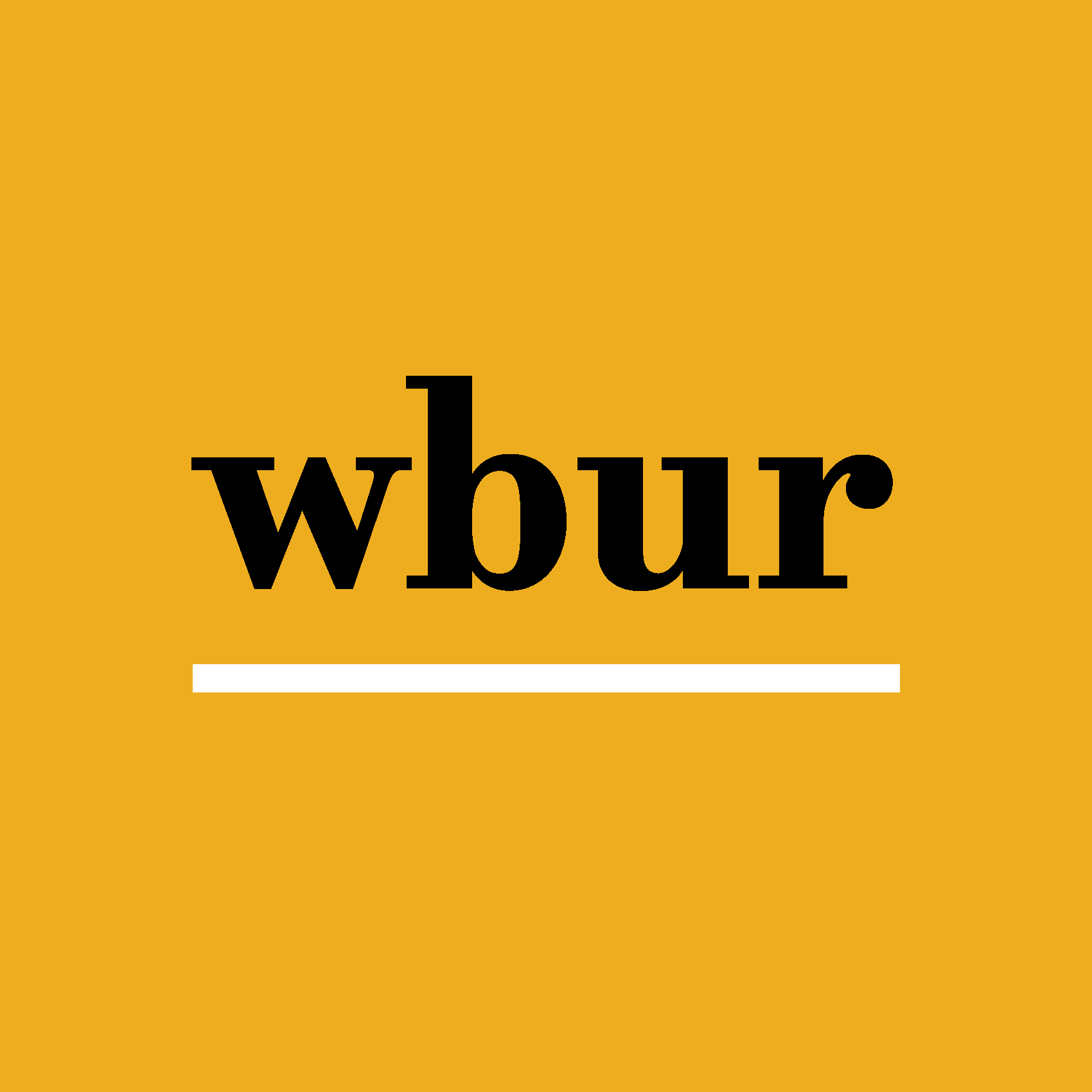 WBUR/NPR Boston (29 January 2024)